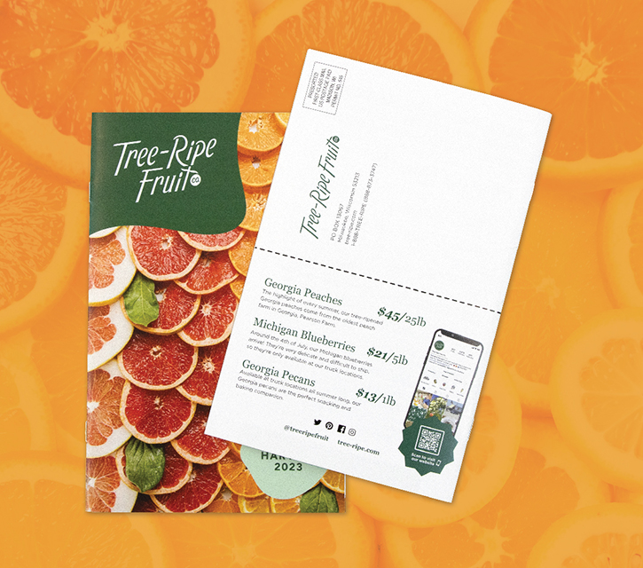 Tree-Ripe Fruit Mini Booklet Mailer