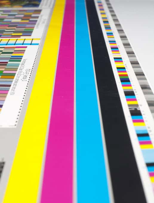 typographical body stripe and coloured scale