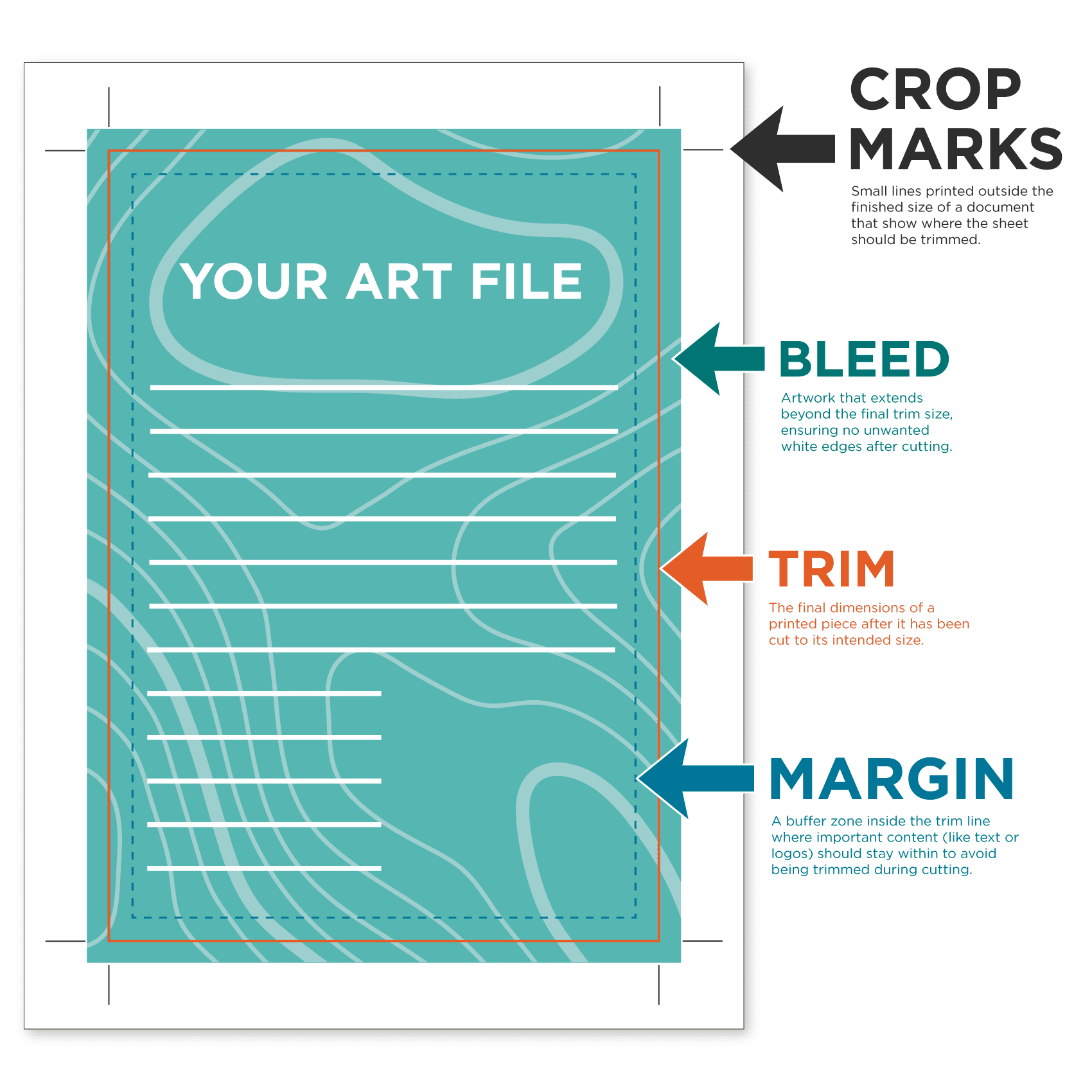 Illustration of a printed piece showing key printing terms. The artwork sits centered on a white sheet with labeled guides and color-coded arrows. "Crop Marks" are black lines extending outside the corners, showing where to cut. A teal area labeled "Bleed" extends past the orange "Trim" line, indicating extra image area to avoid white edges. Inside the trim is a dashed line labeled "Margin," marking the safe zone for important content. Definitions for each term appear in matching colors to the arrows:
Crop Marks: small lines outside the finished size showing where to trim
Bleed: artwork that extends beyond the final size
Trim: the final size after cutting
Margin: the safe area inside where key content should stay