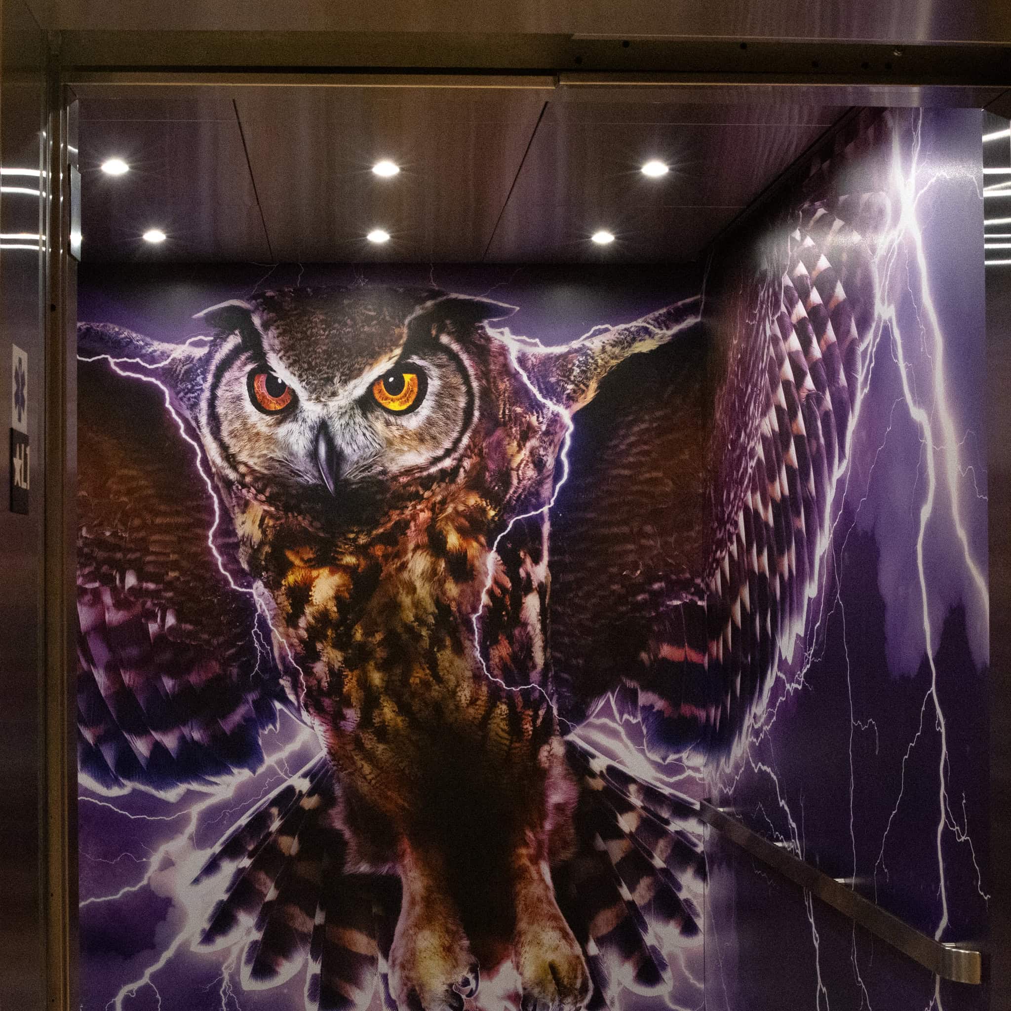 Graphic-wrapped elevator interior at Epic HQ featuring a large owl with lightning in the background, surrounded by wood-like paneling.