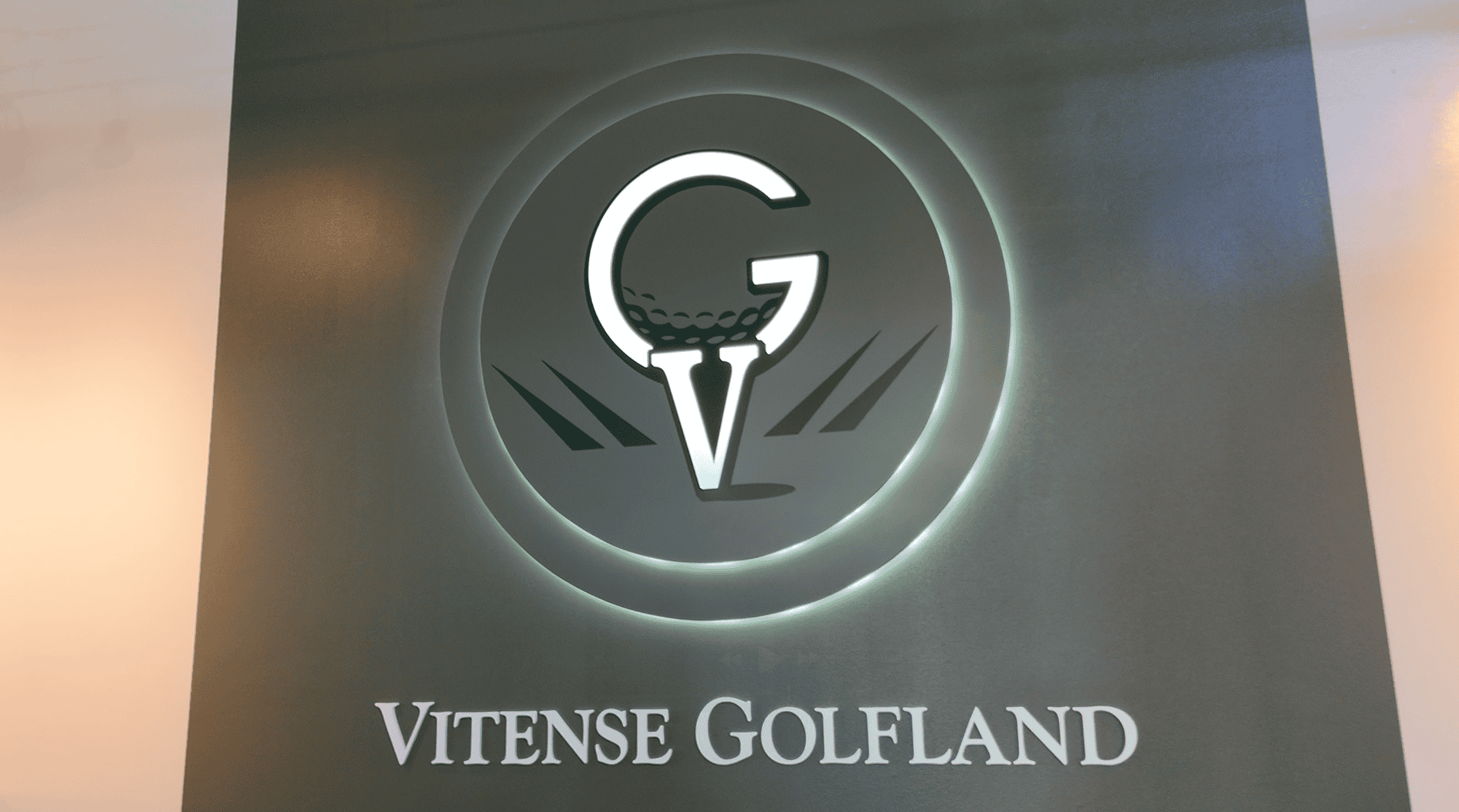 LED Lit Dimensional Logo Signage