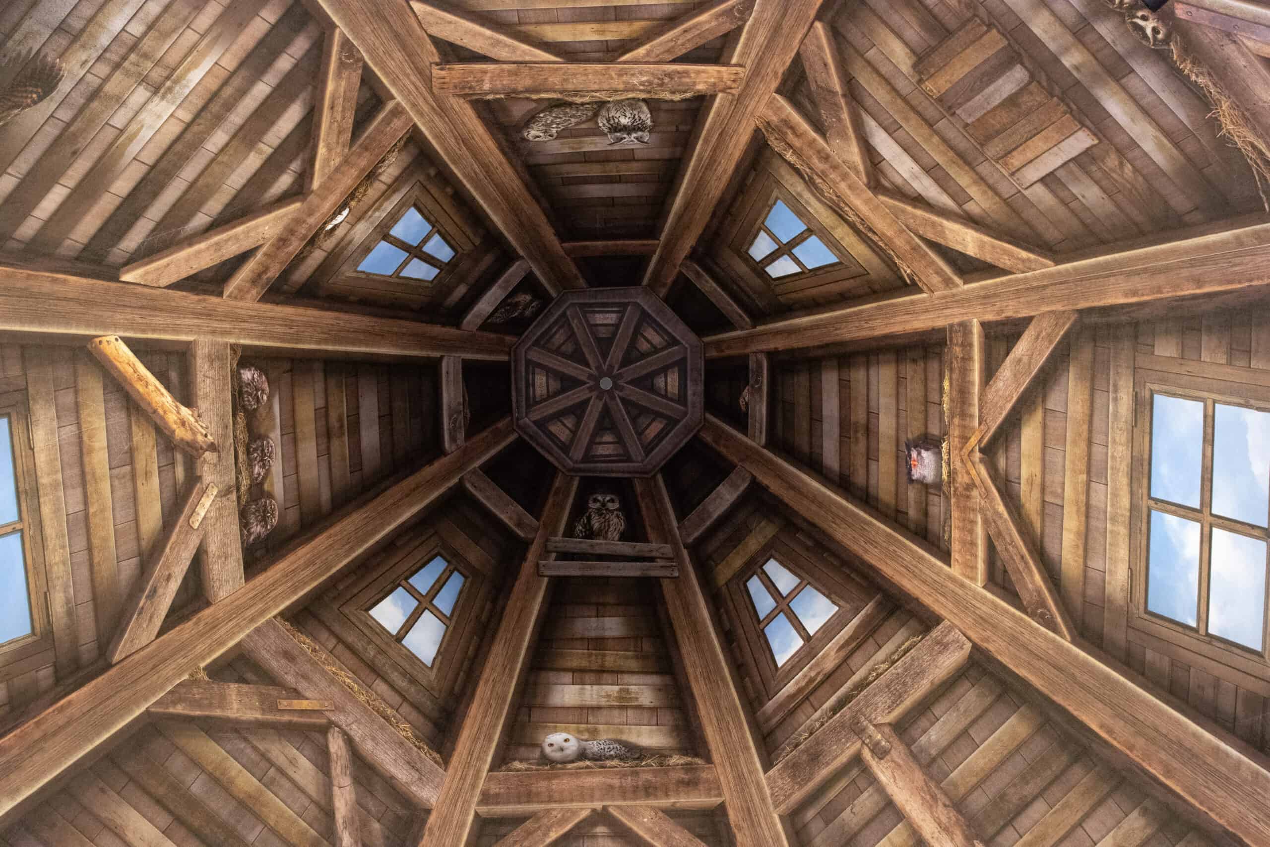 A highly detailed ceiling mural resembling the wooden beams and skylights of a rustic owl roost, with painted windows and perched owl figures.