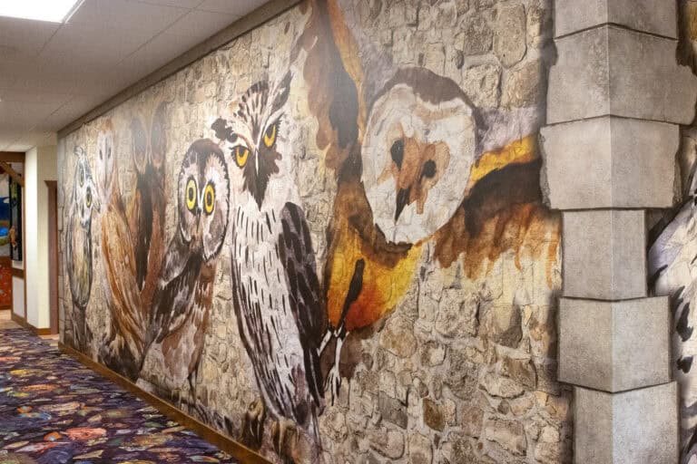 A large-scale mural of various owl illustrations painted over a faux-stone wall, located in a themed hallway of a corporate software company campus.