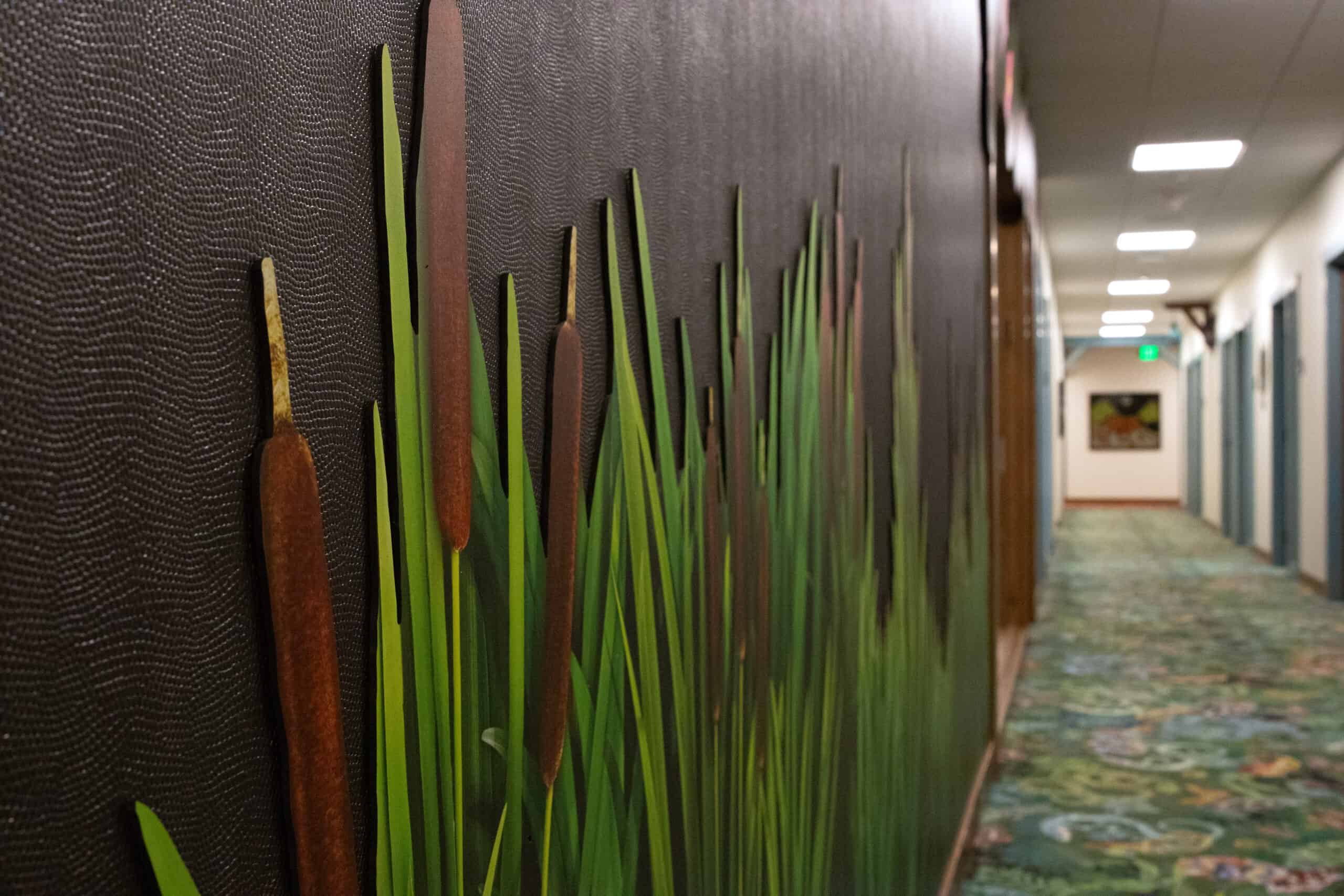 A hallway with a green-patterned carpet and a black wall featuring three-dimensional cattail graphics in green and brown tones.