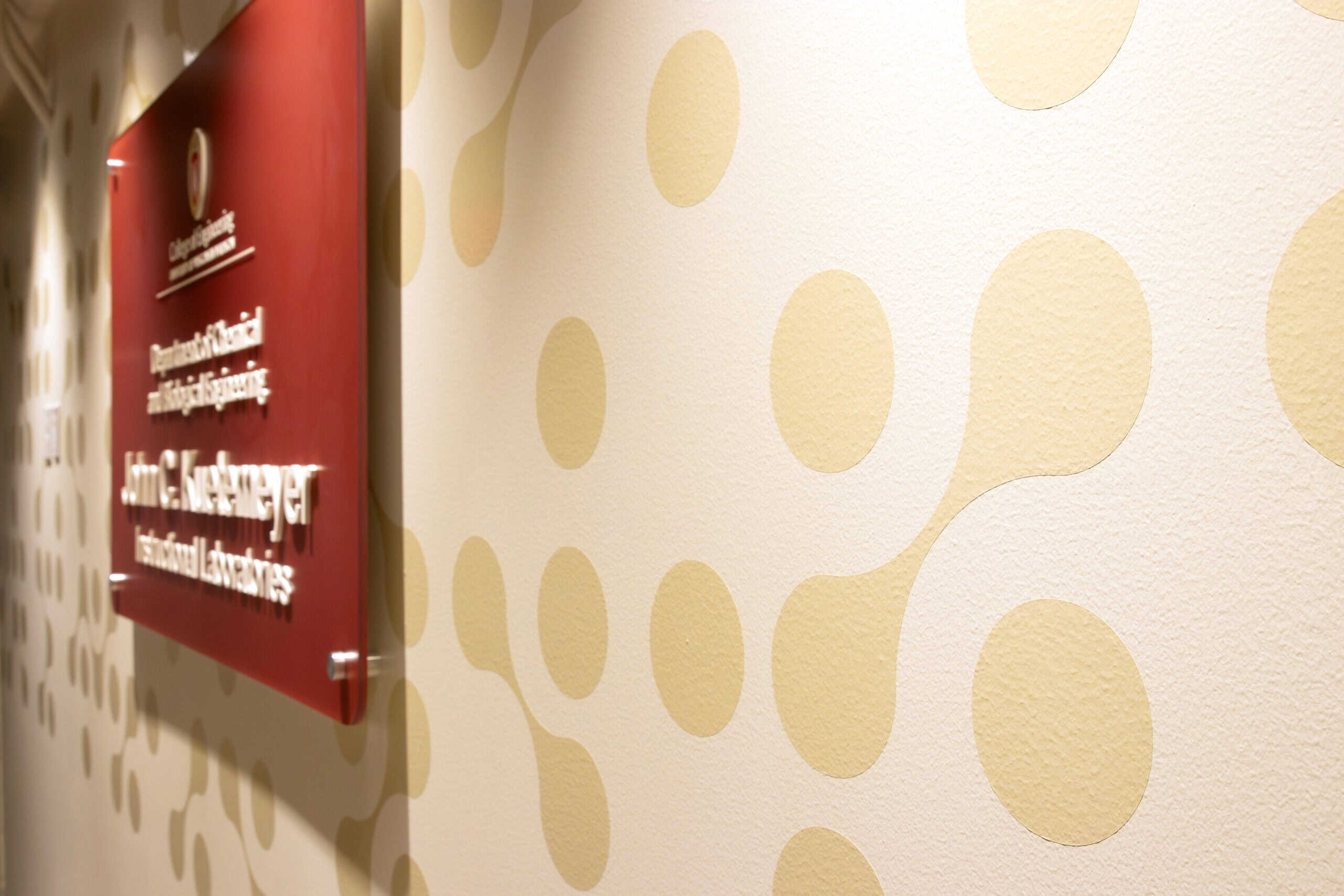 Donor Signage Custom Vinyl Details