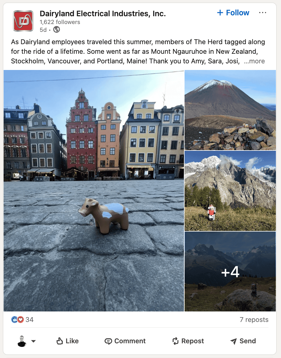 Collage of Dairyland’s herd members photographed around the globe, including Mount Ngauruhoe, Stockholm, and more