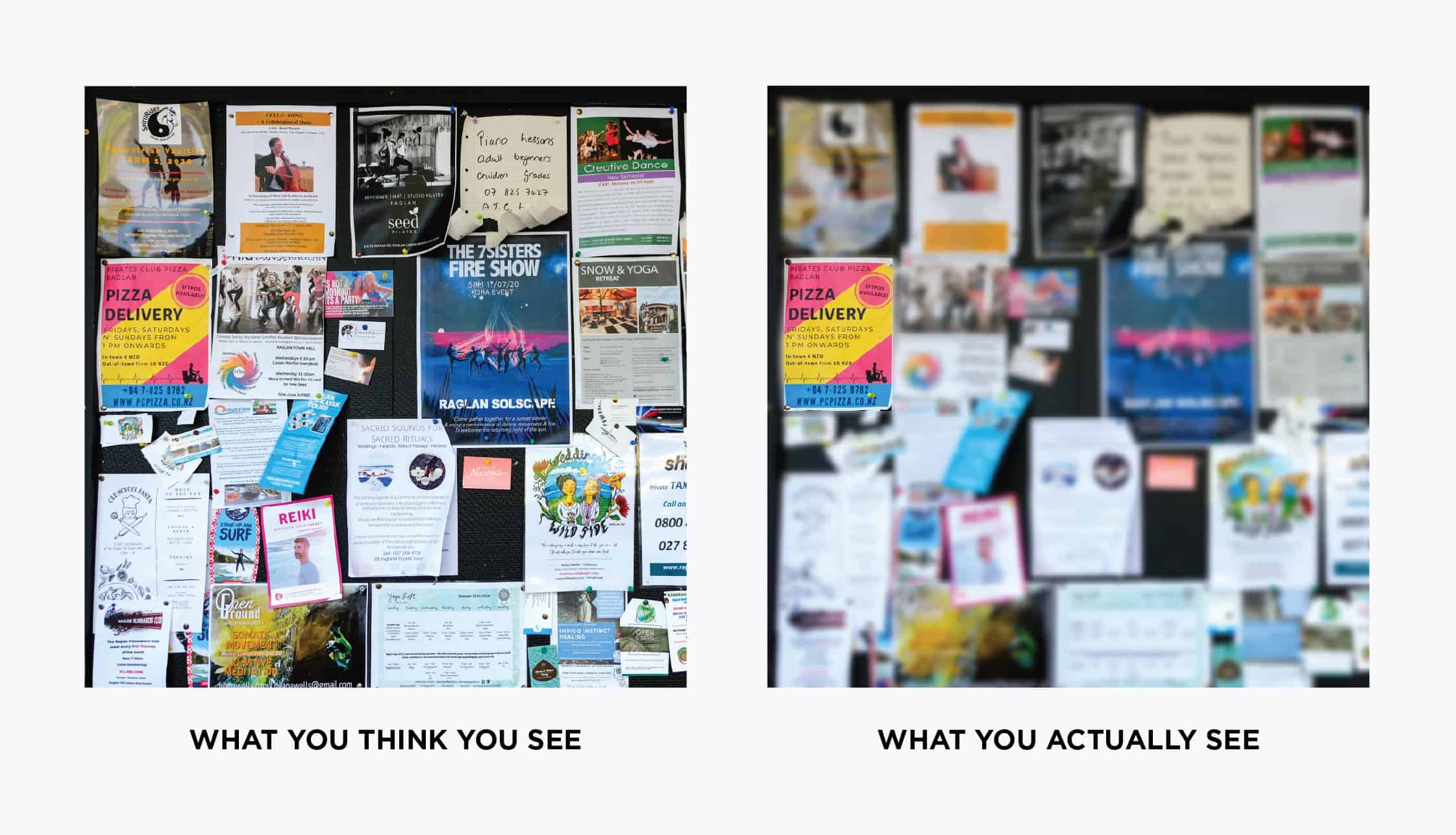 Deciduous Forest with Path