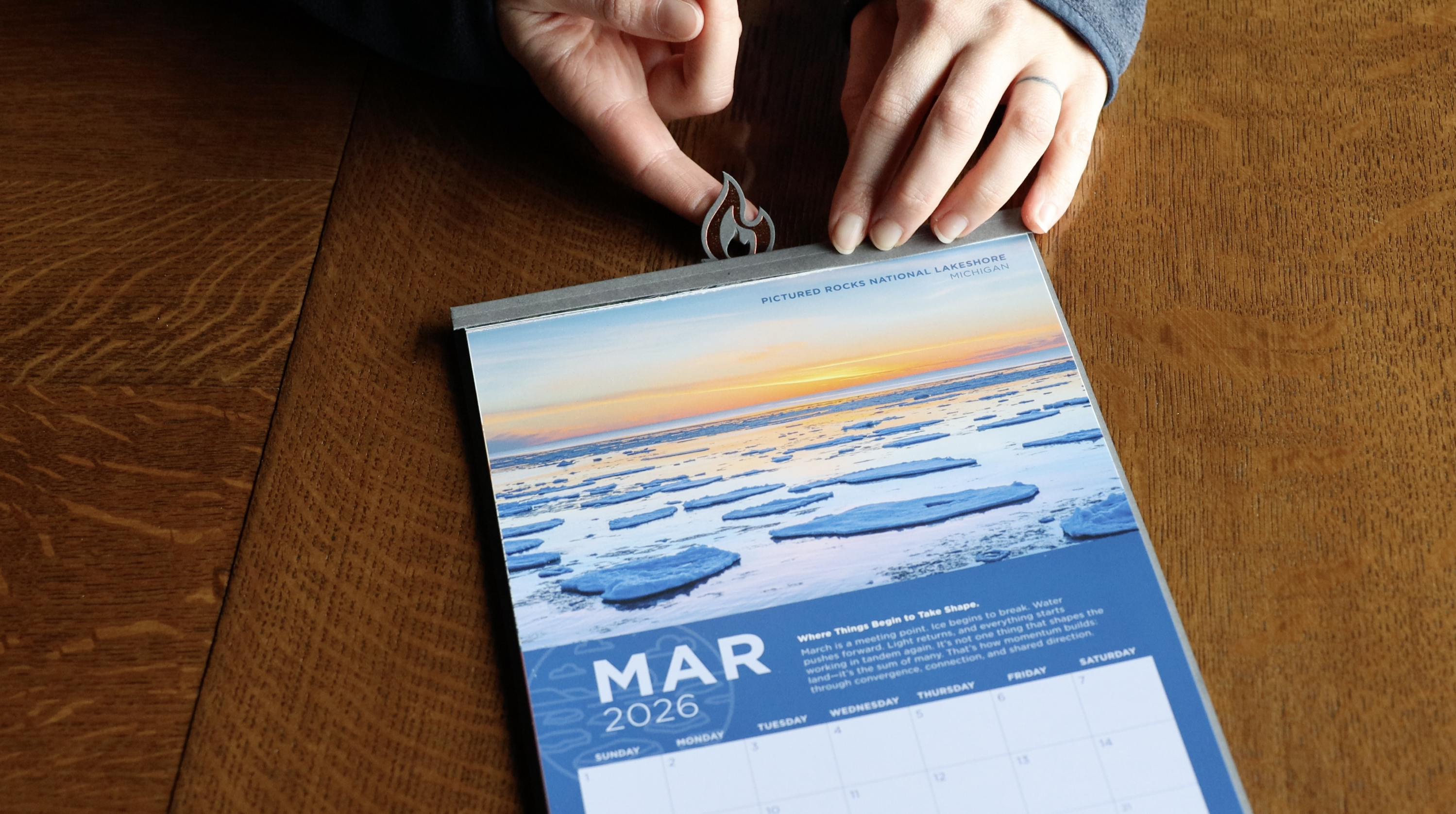 Deciduous Forest with Path