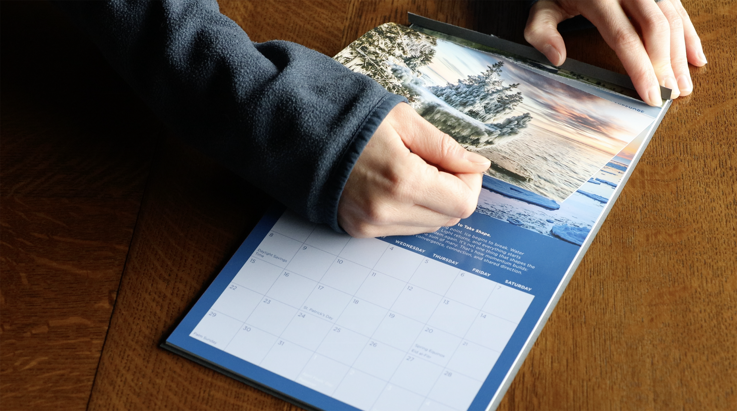 Deciduous Forest with Path