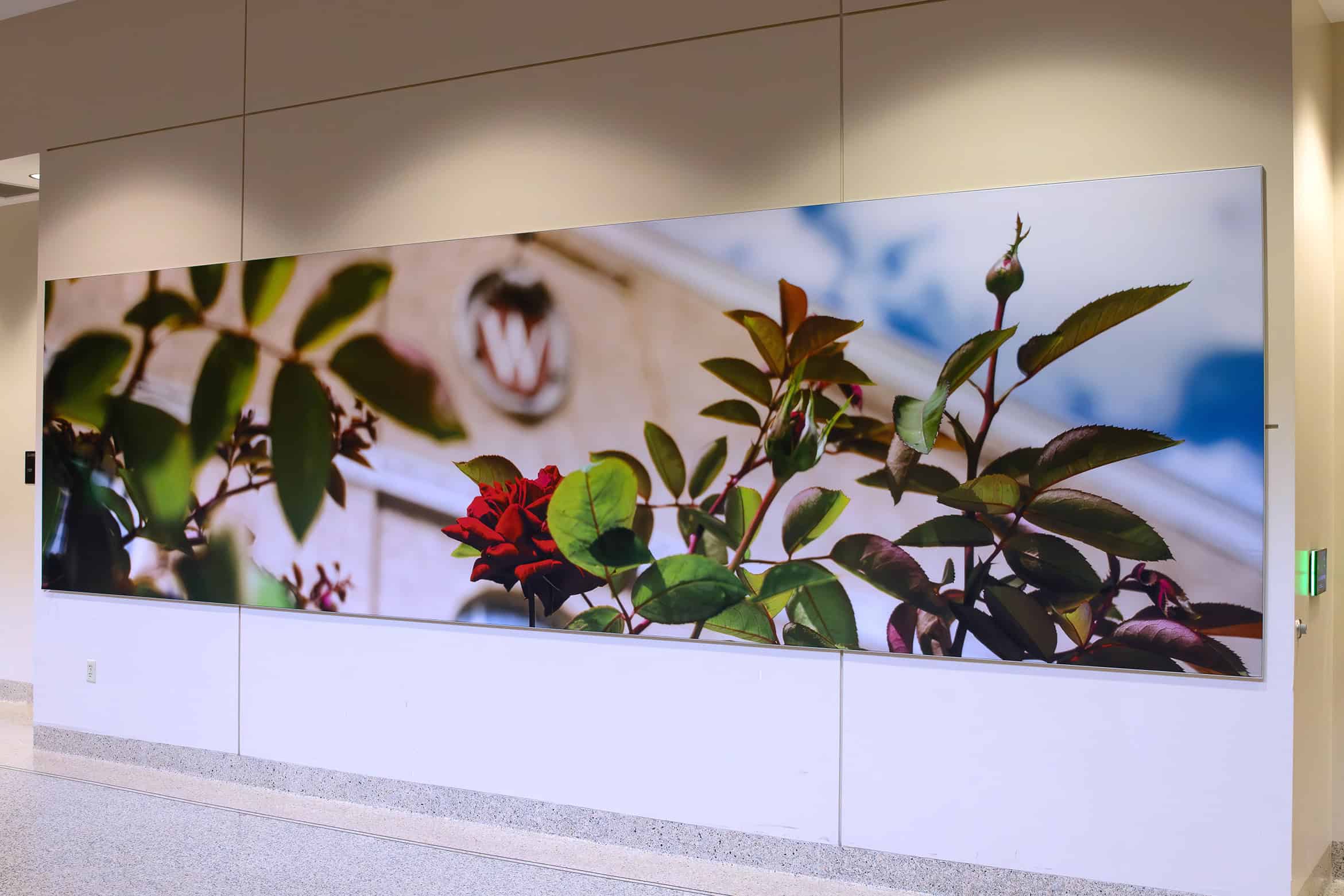 Updated SEG Frame UW Campus Photography