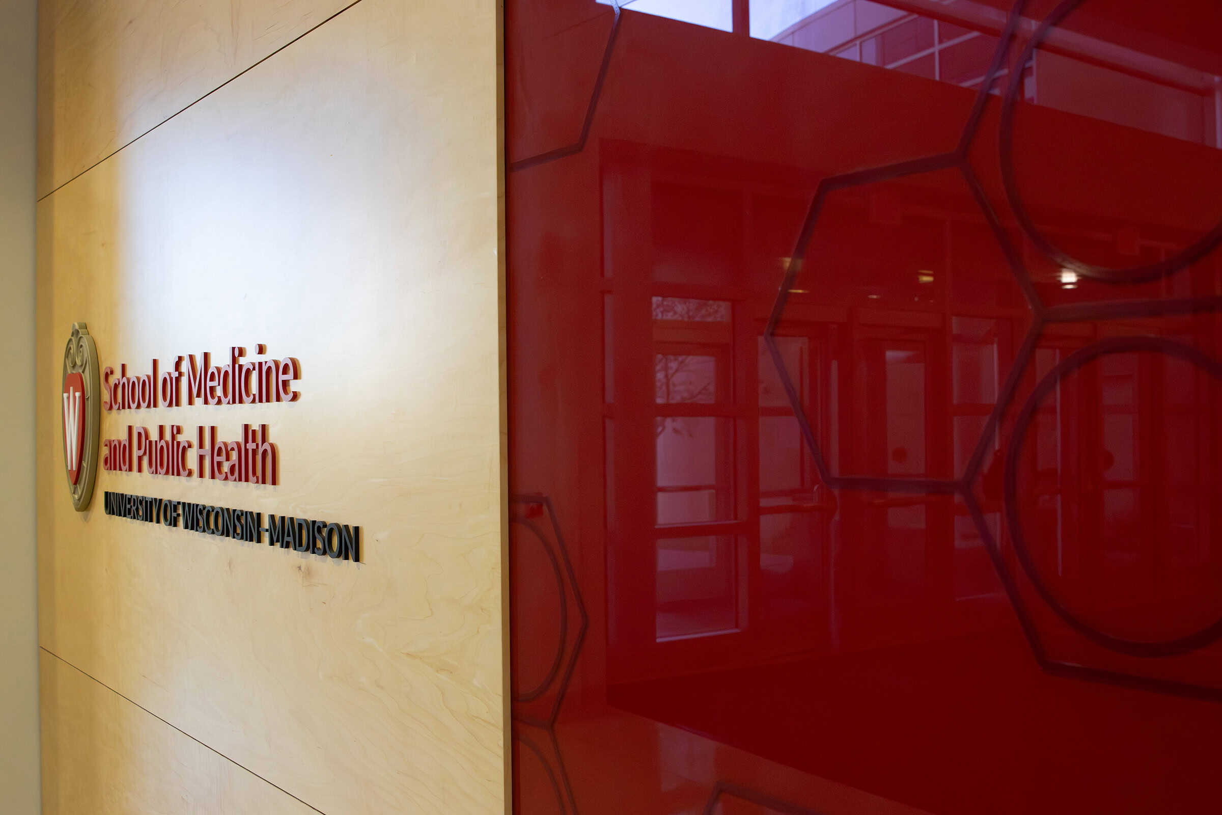 Custom Acrylic Display