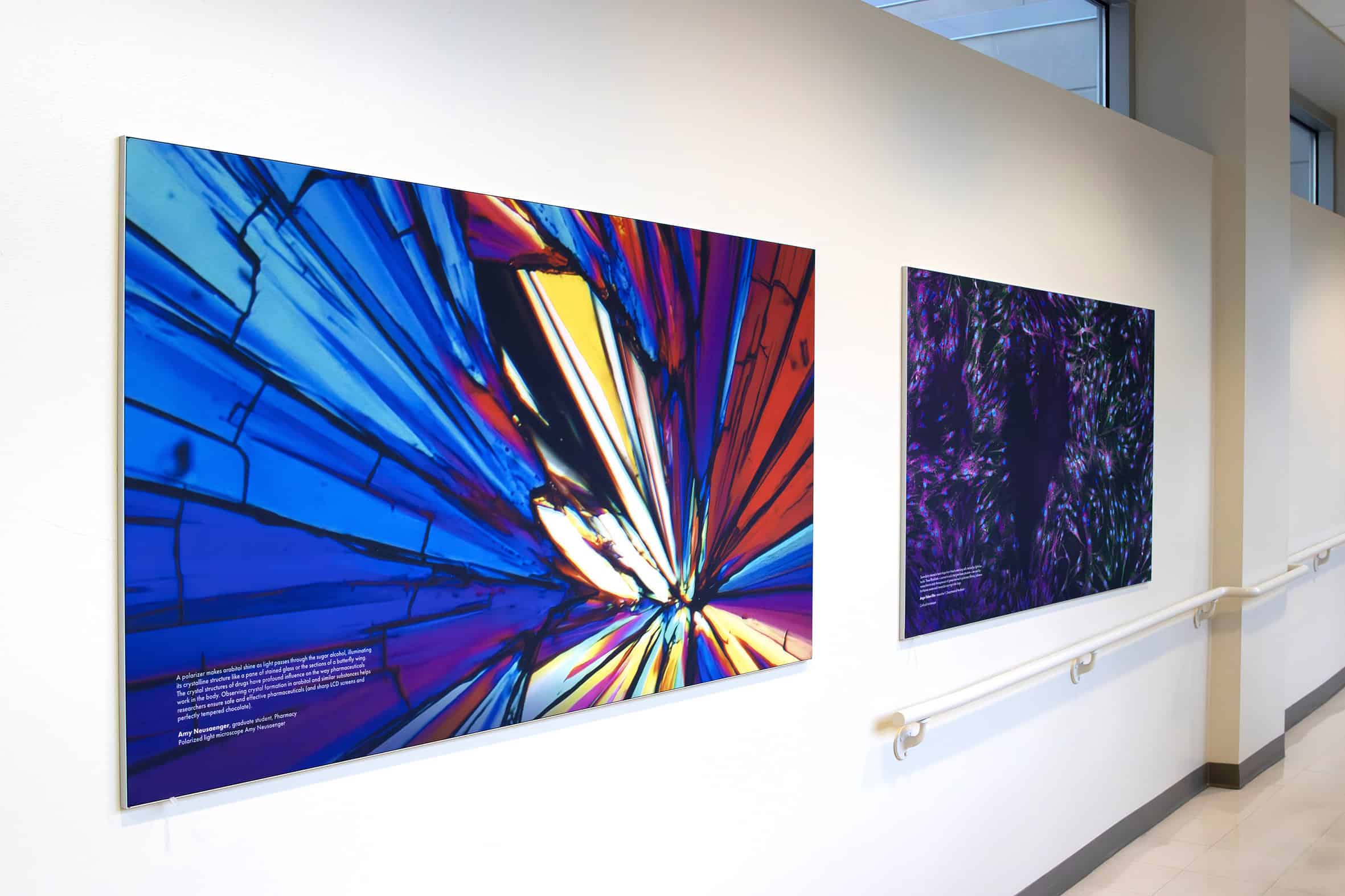 Custom SEG Frame Graphics