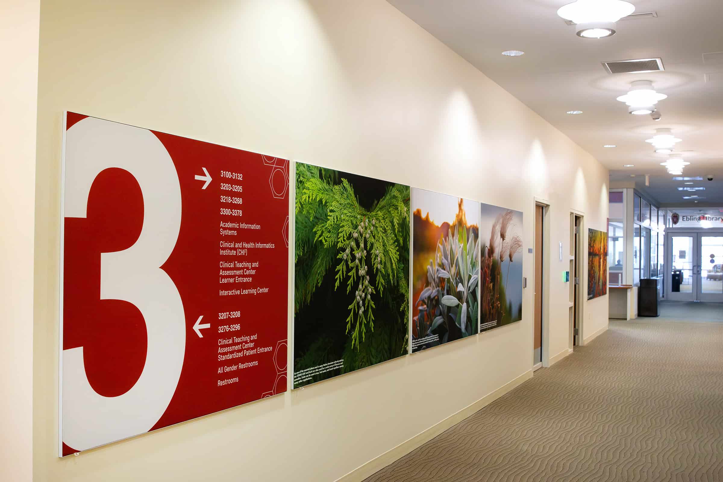 Wayfinding SEG Frames