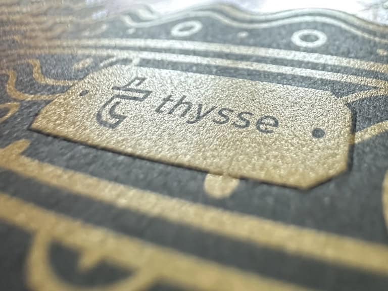 Deciduous Forest with Path