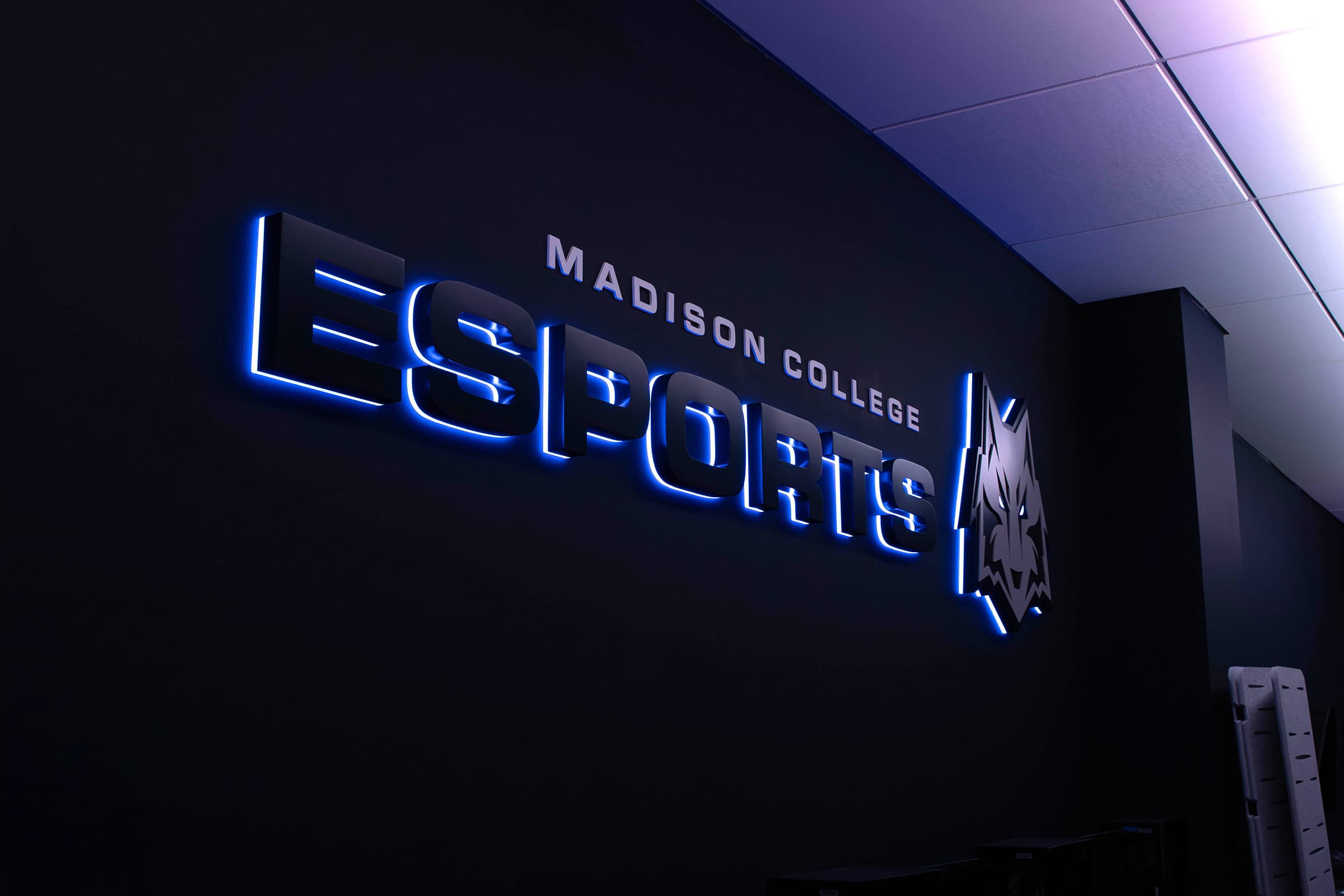 Custom Backlit Dimensional Acrylic Feature Wall