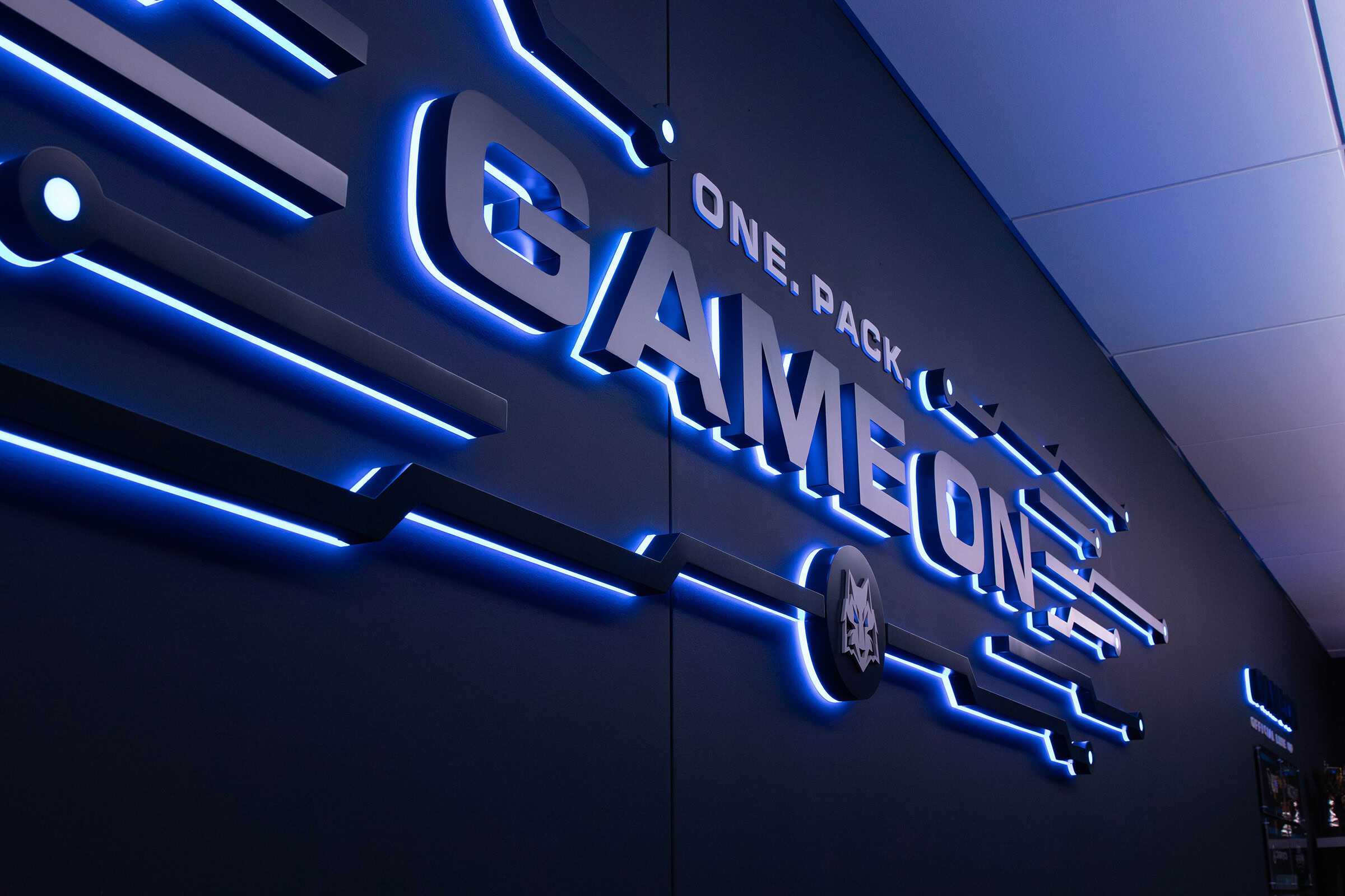 Custom Backlit Dimensional Acrylic Feature Wall