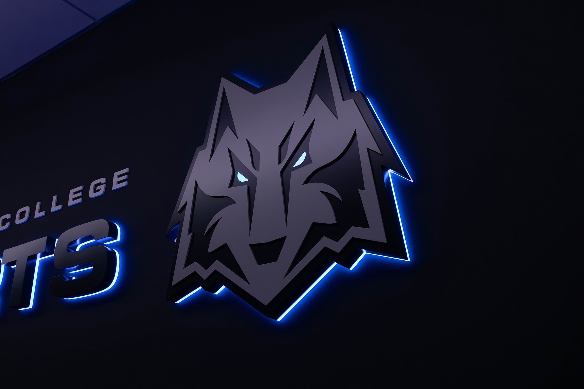 Custom Backlit Dimensional Acrylic Feature Wall