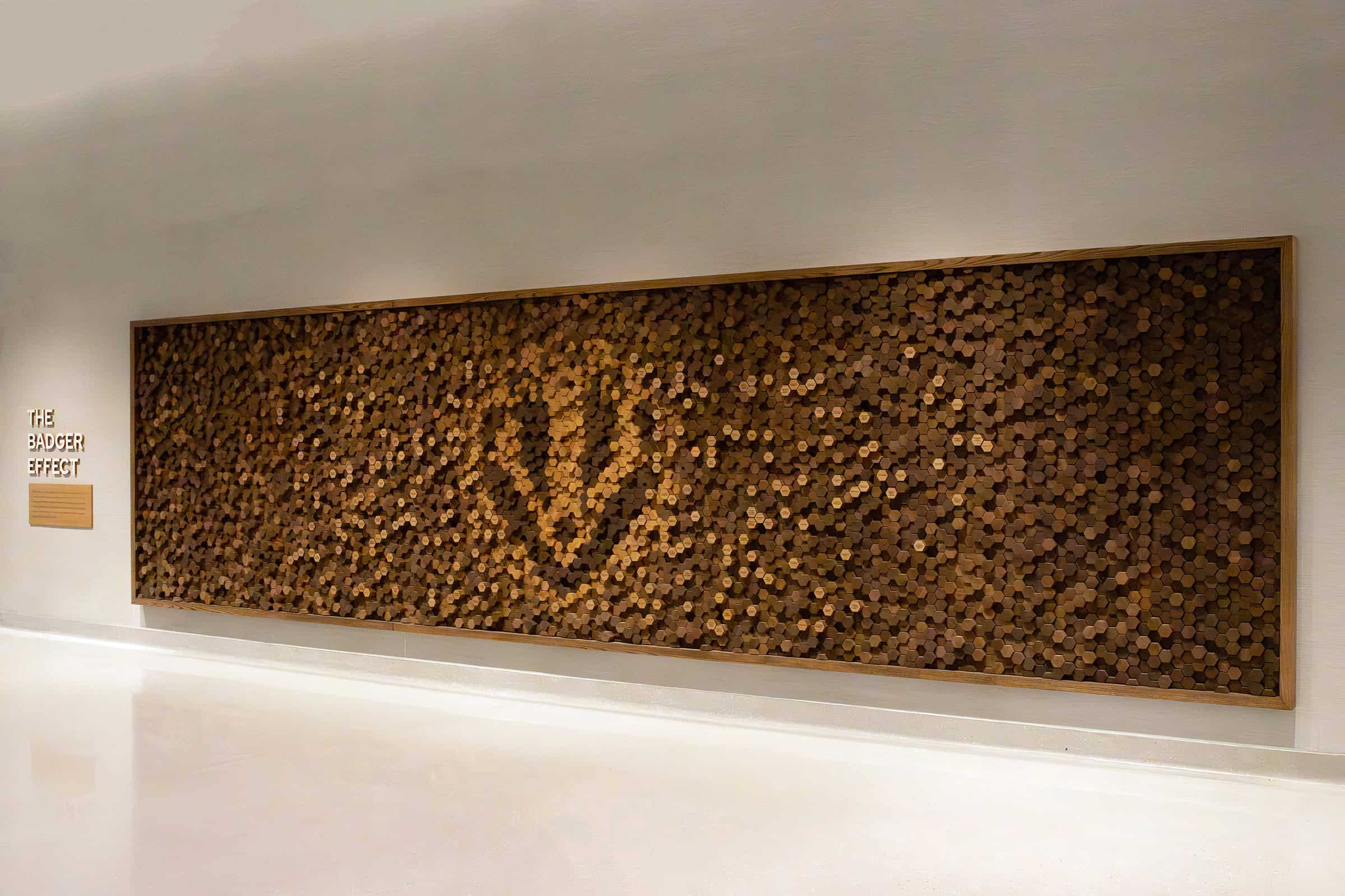 Etched Wood Recognition Display