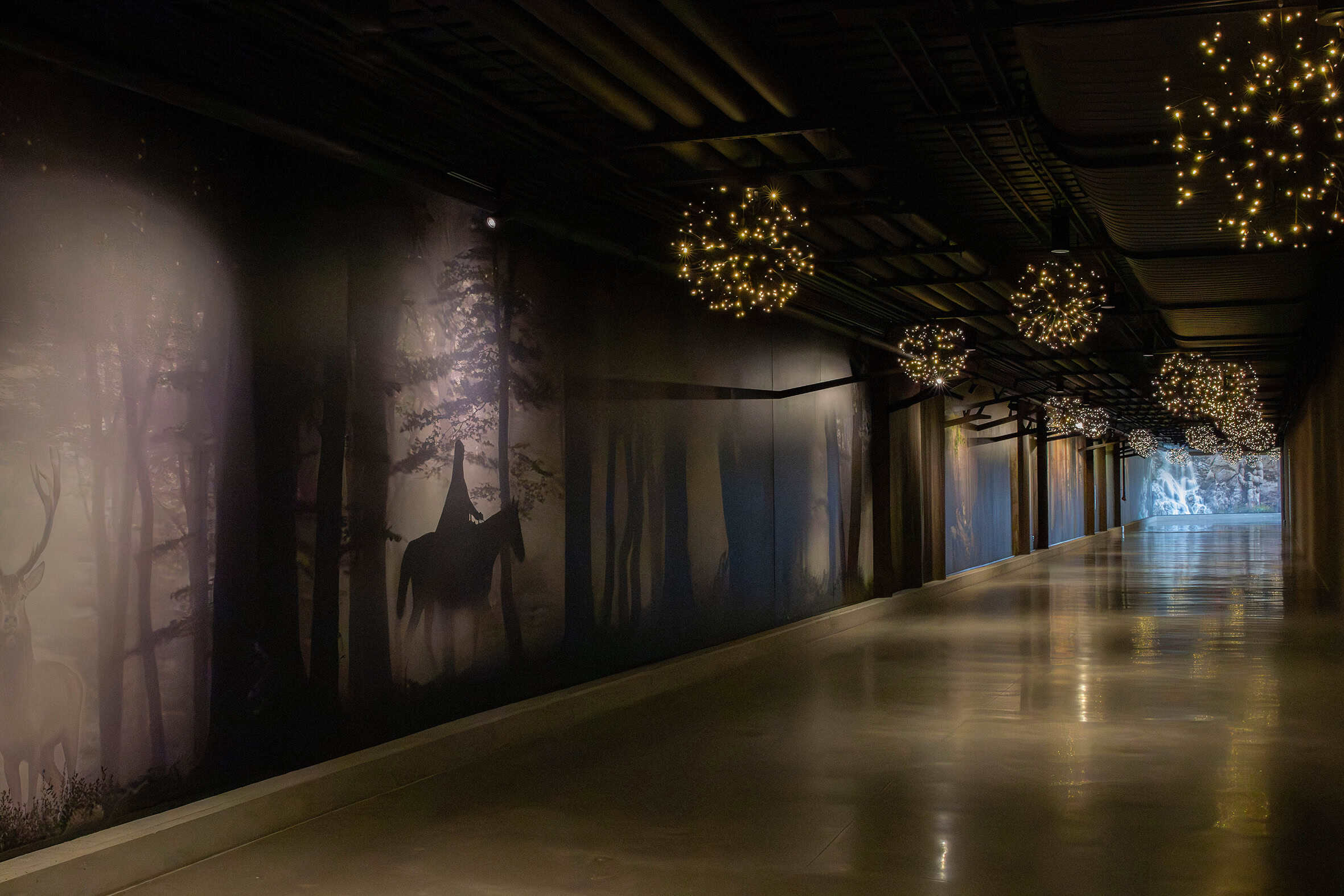 Wide Format Environmental Graphics Wallpaper