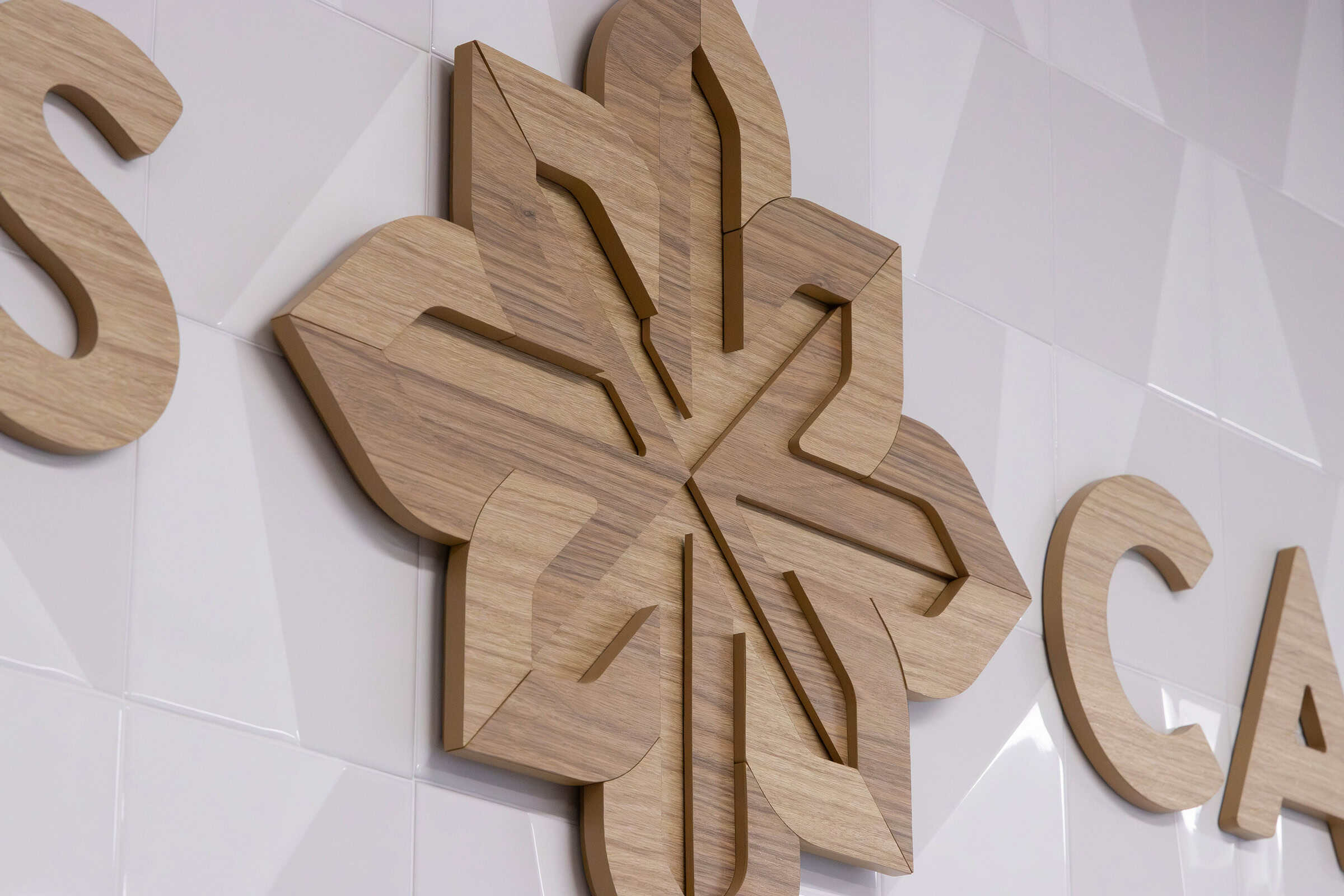 Custom Facility Branding Wood Logo Feature Wall