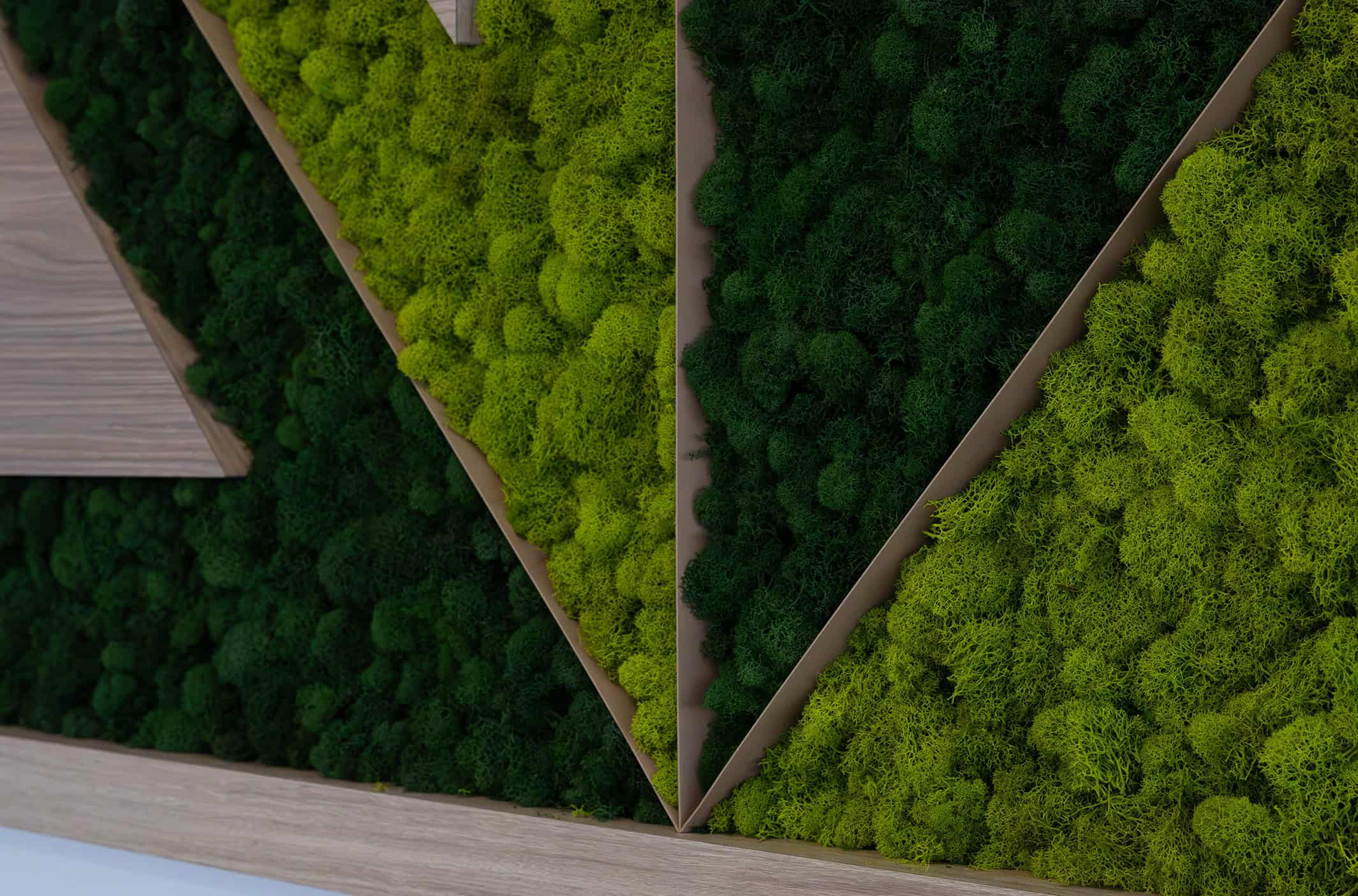 Custom Facility Branding Moss Feature Wall
