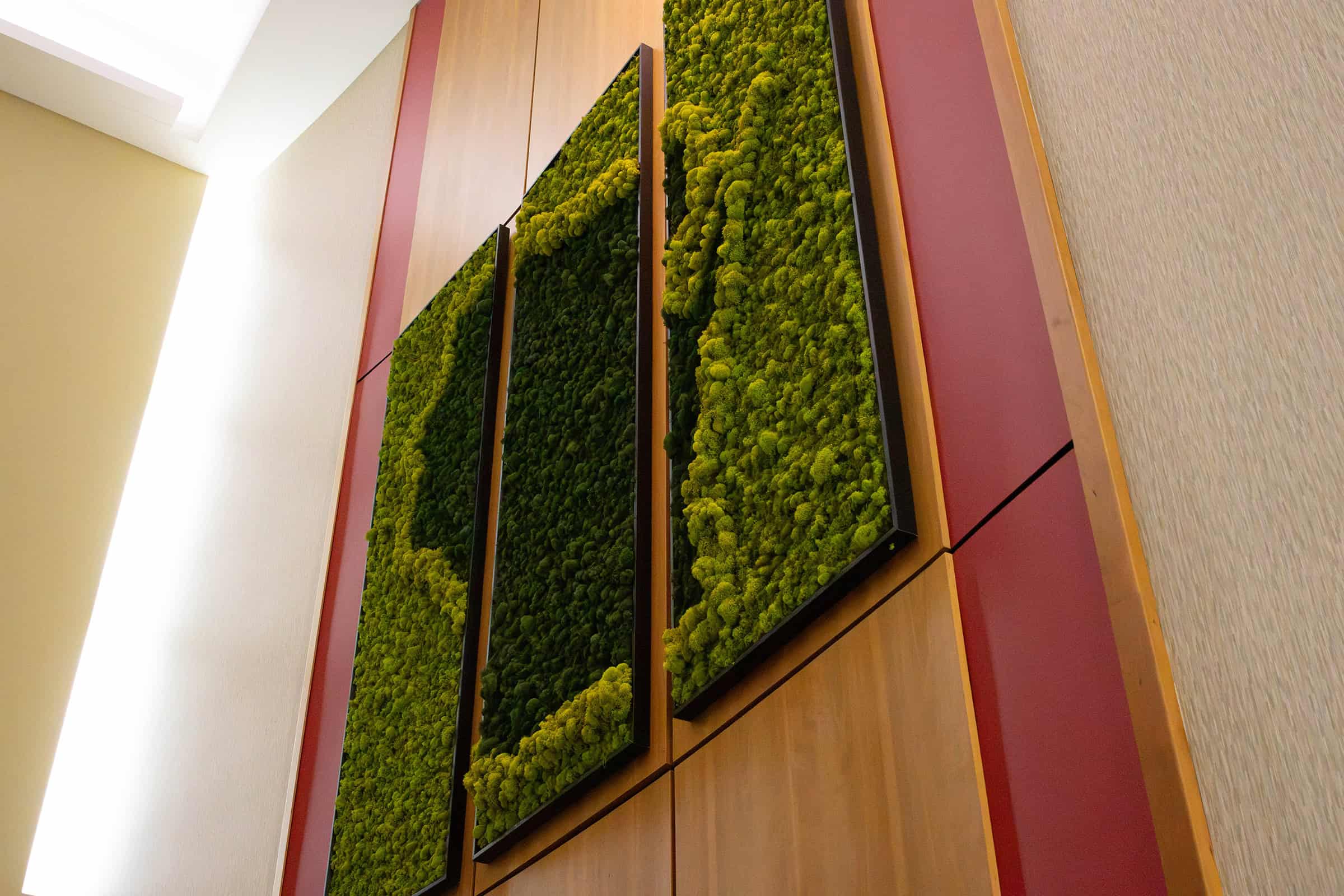 UW-Extensions Moss Feature Wall