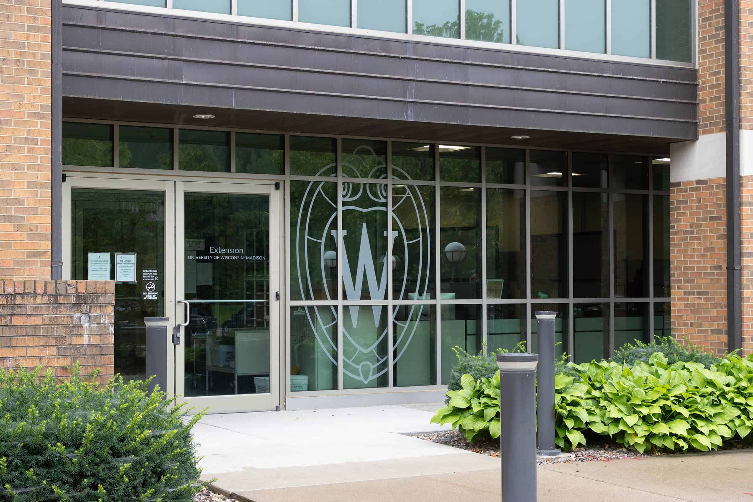 Window Vinyl